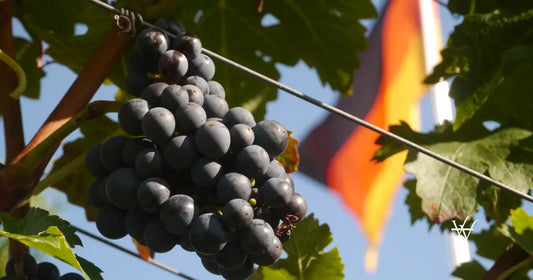 german wine