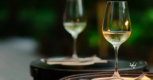 glass of white wine on the table copy space