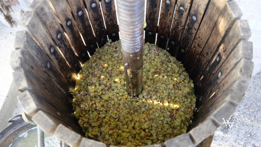 homemade wine production