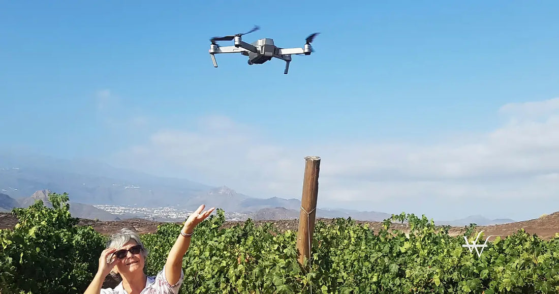 old lady looking at the drone outdoor in the vineyard