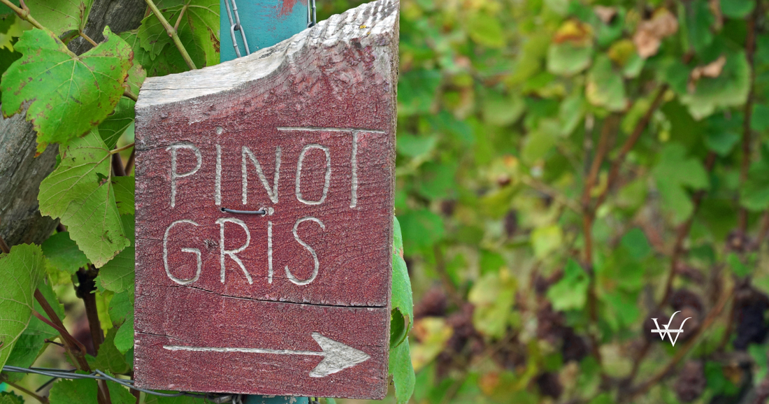 pinot-gris-plate