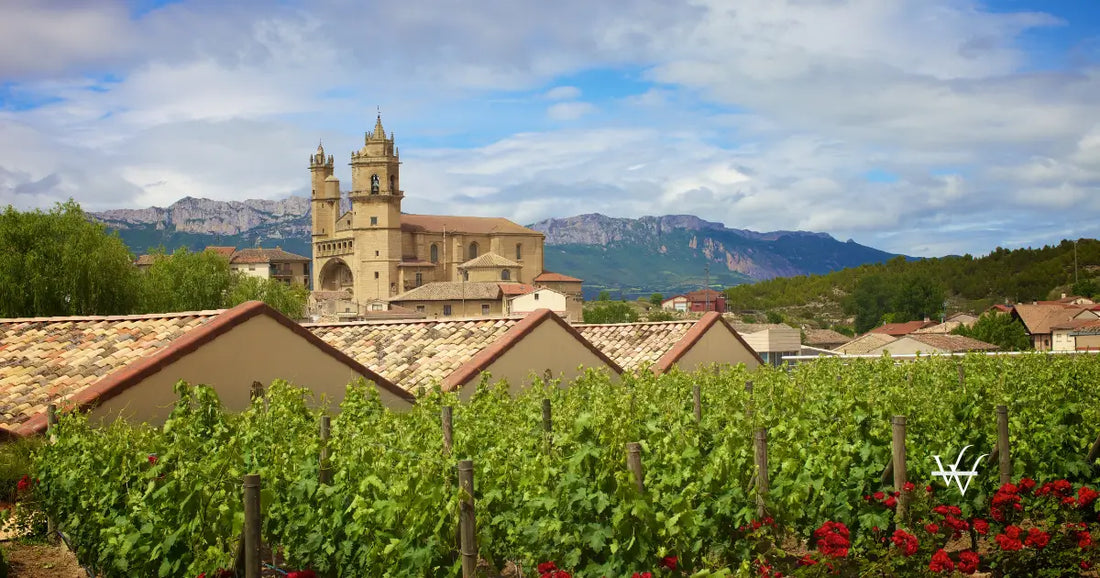 rioja winery