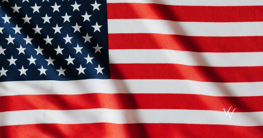 usa flag