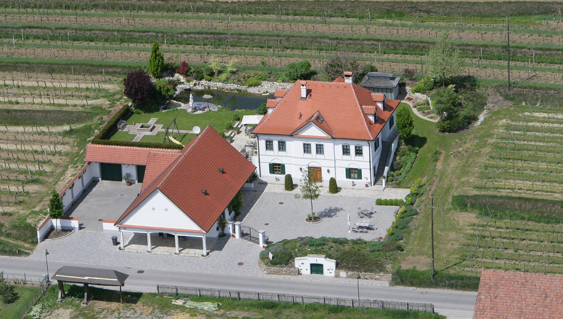 weingut eichinger winery kamptal austria